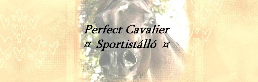 Perfect Cavalier Sportistll